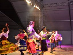 Festival de Folkore en Mula